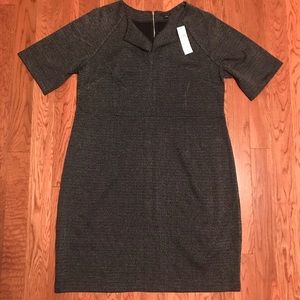 NWOT Ann Taylor Dress